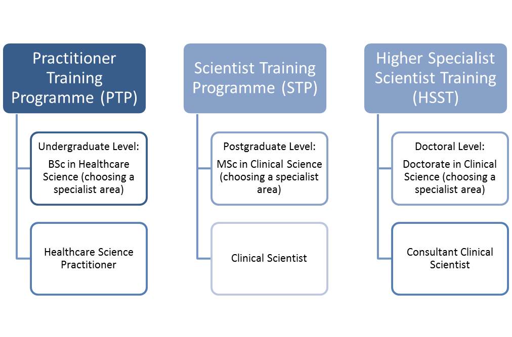 Healthcare Science Job roles diagram