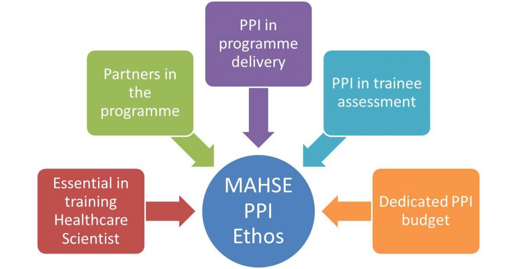 MAHSE PPI diagram